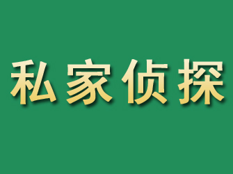 临安市私家正规侦探