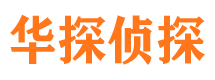 临安出轨调查